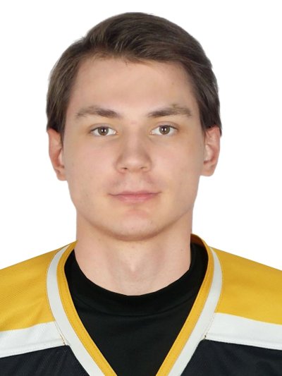 Пушкарёв  Михаил  Олегович