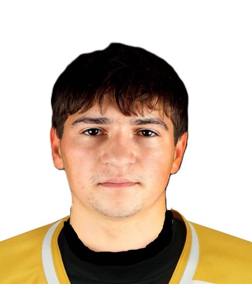 Медведев  Максим  Андреевич