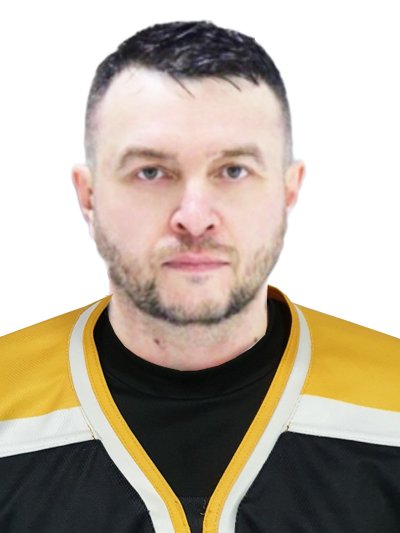 Гольцов  Владимир  Евгеньевич